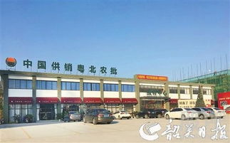 中國供銷農(nóng)產(chǎn)品批發(fā)市場控股 構(gòu)建現(xiàn)代化食用農(nóng)產(chǎn)品流通新格局